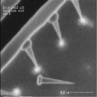 Illustration for article titled Nanometer-Wide PicoToilet, Plus a Gallery of Micrographs